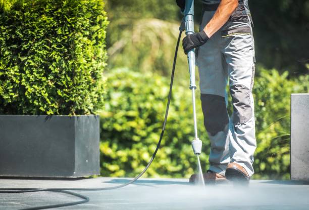 Best Solar Panel Cleaning  in Trafalgar, IN